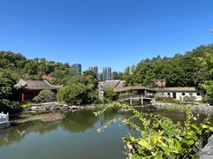 -顺峰山公园