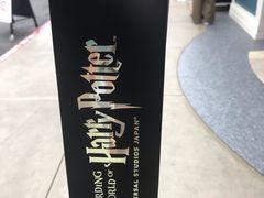 -哈利波特魔法世界