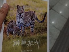 -好利来(十里河店)