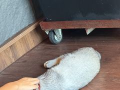 -猫岛主趣味餐厅(鼓浪屿店)
