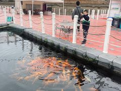 -绿城千岛湖喜来登度假酒店