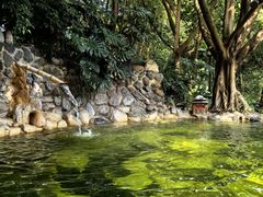 -湖泉半山温泉