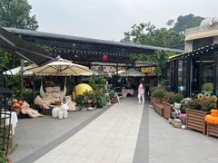 -京北渔家傲