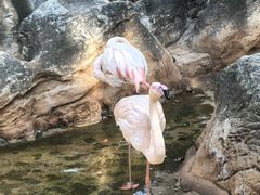 -昆明动物园