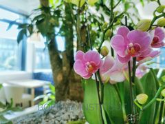 -荷兰布尔玛国际花艺学院