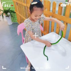 -Moni星球萌宠·小马宝莉·灵蛇·高端高阶全萌宠互动体验俱乐部(红豆国际广场店)