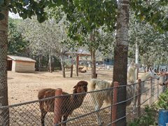 -大连森林动物园