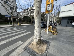 -上味馆南翔小笼(杏山路店)