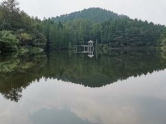 -四明山国家森林公园