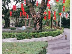 -云溪植物园