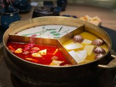 红颜花胶鸡锅-湊湊火锅·茶憩(上海合生汇店)