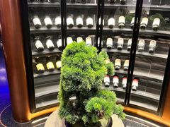 -映水芙蓉(上海万象城店)