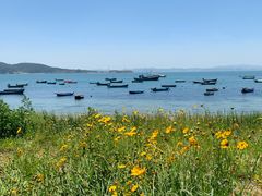 -海源公园