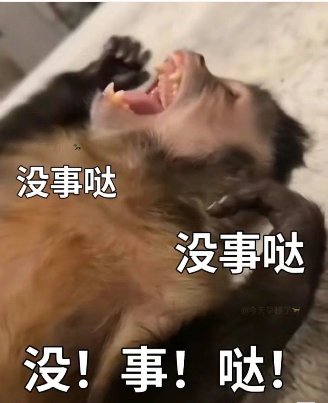 不就1000粉丝嘛!没事哒