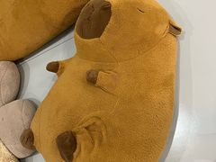 -艾悠宝亲子游泳·水育早教·婴幼儿游泳·儿童游泳