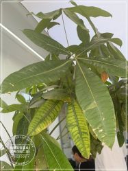 -LJOY丽锦造型·烫发染发