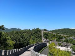 -黄贤森林公园