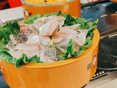 -龍歌自助小火锅(市南金茂湾店)