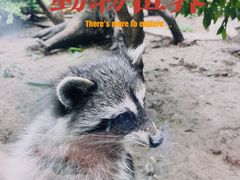 -天津市动物园