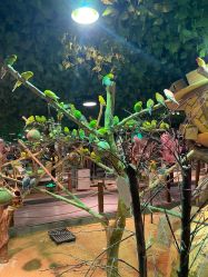 -酷嗒动物文化乐园(cutezoo西溪乐天城店)