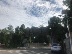 -阳台山自然风景区