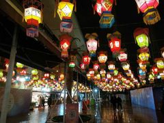 -锦江乐园舞狸花花游园会(夜场专享)