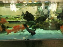 -越百海海鲜蒸锅(乐山店)