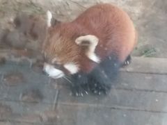 -武汉紫薇都市田园