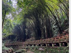 -凤栖山
