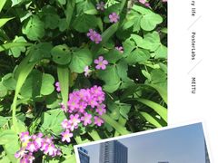 -铜锣湾·有麝自然香(渝北财富中心店)