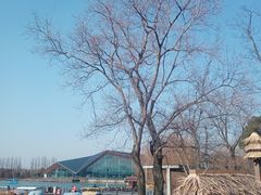 -上海长兴岛郊野公园