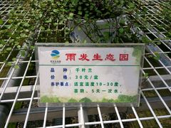 android_upload_pic-云幽谷旅游区