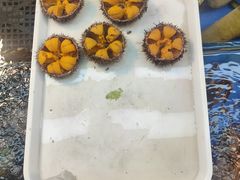 -桃源市场(解放路店)