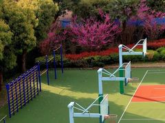 -上海市康健外国语实验中学