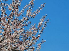 -艾溪湖湿地公园