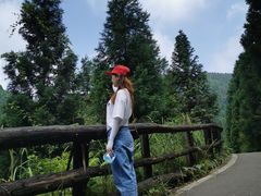 -武陵山森林公园