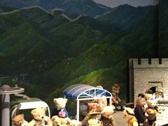 泰迪熊博物馆-成都泰迪熊博物馆