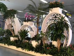 -长沙黄花国际机场-T1航站楼