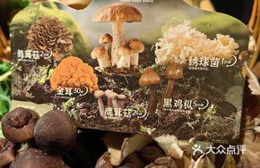 Mushroom Steamed Rice