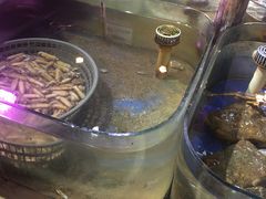 -山东八大碗山东老字号