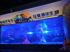 -成都浩海立方海洋公园