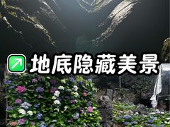 -梭布垭石林景区