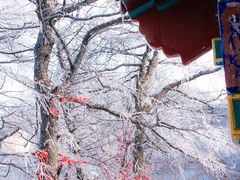-崂山巨峰游览区