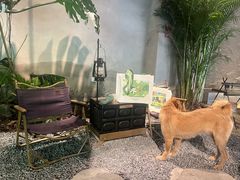 -J Create城市露营咖啡·简餐·宠物(上海动物园店)