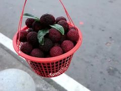 -树山生态村