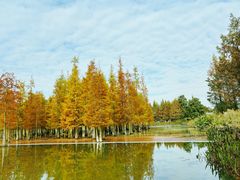 -白鹭湾湿地公园