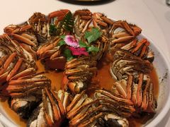 -蝶园·装修中(BFC外滩金融中心店)