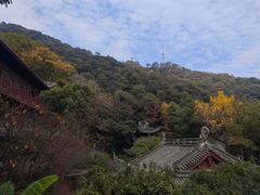 -韬光茶庵