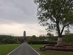 -宜兴龙背山森林公园