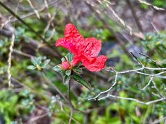 -午潮山国家森林公园